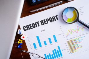 review credit report